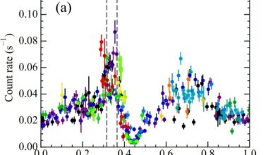 Multiwavelength observations investigate the nature of a TeV gamma-ray binary