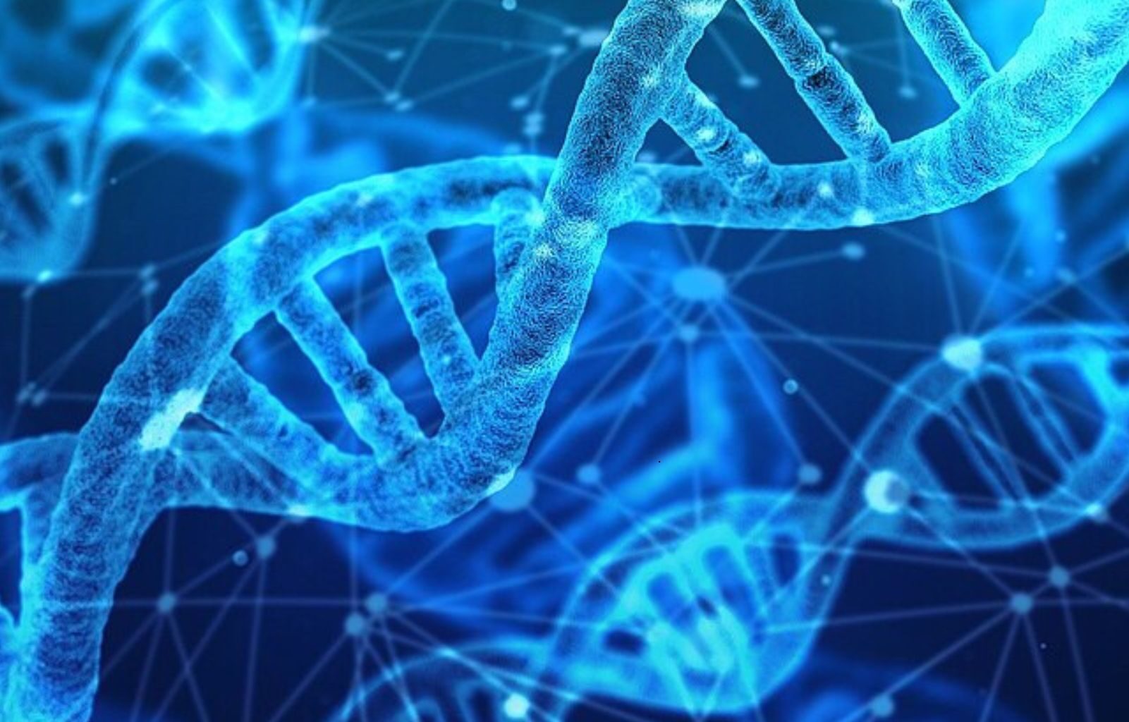 GAIA, a breakthrough DNA tool, identifies shared ancestors and tracks human movement across time, reshaping genetic research.