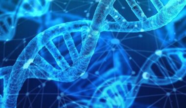 GAIA, a breakthrough DNA tool, identifies shared ancestors and tracks human movement across time, reshaping genetic research.
