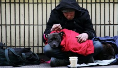 Charity seeking volunteers in Barnet to help support rough sleepers