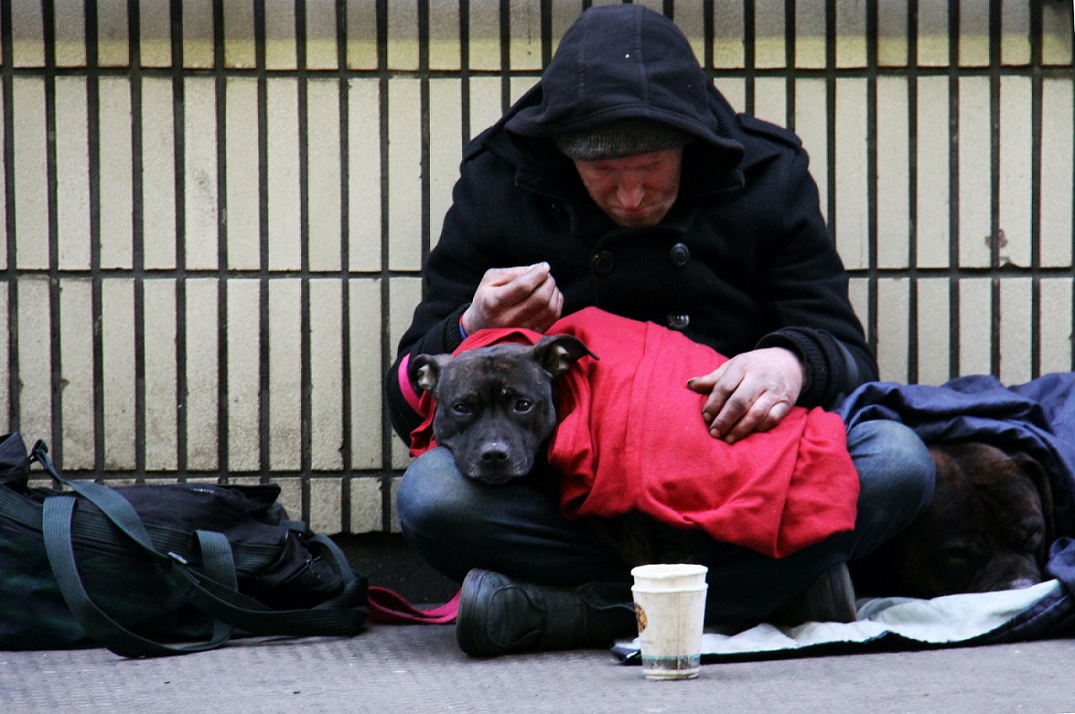 Charity seeking volunteers in Barnet to help support rough sleepers