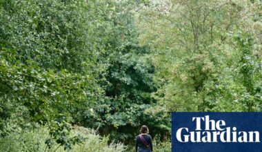 Human connection to nature has declined 60% in 200 years, study finds | Environment