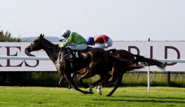 Wayne Bailey: In-form Arisaig has big chance off a nice mark at Ascot