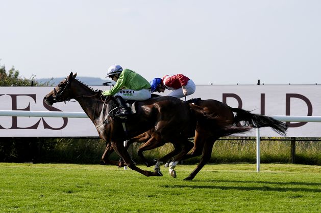 Wayne Bailey: In-form Arisaig has big chance off a nice mark at Ascot