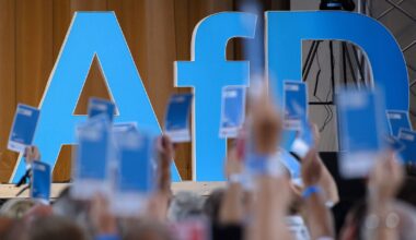 Key facts about Germany’s AfD party and its supporters