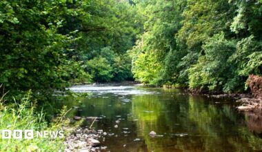 A generic view of the River Ribble, showing flat, calm water surrounded by large trees on the banks