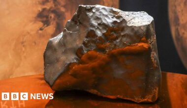 Niger's anger that a piece of Mars ended up for auction