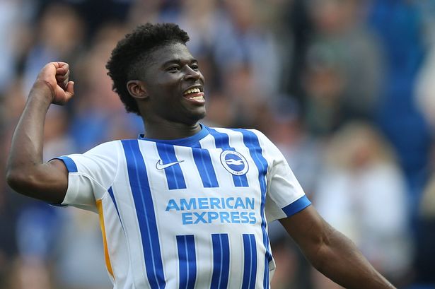 Carlos Baleba celebrates after a Brighton & Hove Albion game