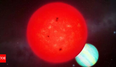 Giant planet found orbiting tiny star ‘should not exist’, astronomers say |