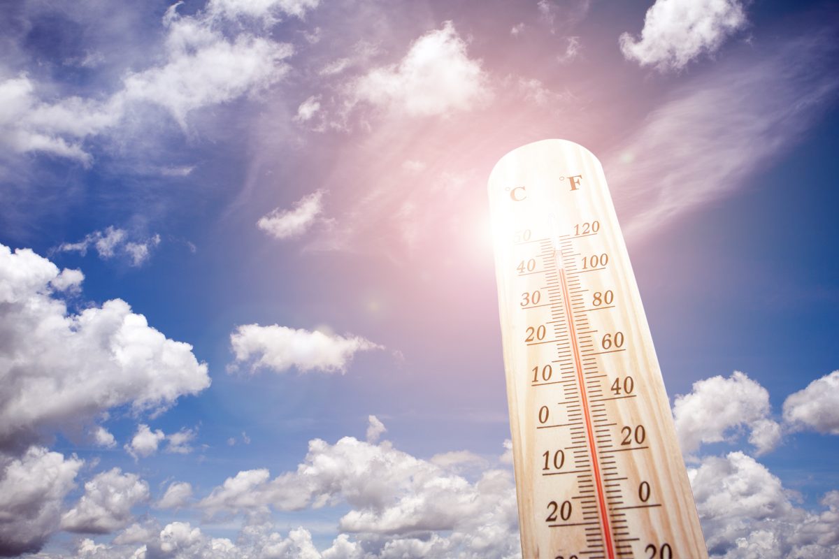 HEATWAVE - Met Office issues amber hot weather warning for West Midlands