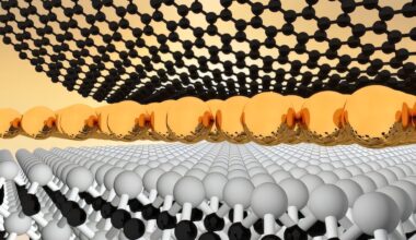 Powerful form of quantum interference paves the way for phonon-based technologies