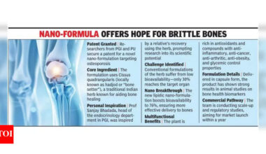 Ancient wisdom meets modern science: Nano-formula offers hope for brittle bones | Chandigarh News
