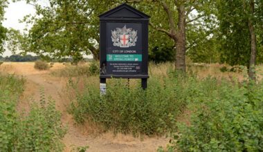 Wildfires break out at east London park for second day in a row amid scorching temperatures