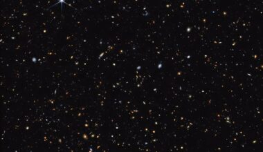 Slowly spinning dark matter halos may explain mysterious 'little red dots' in the early universe