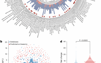 Deep learning reveals antibiotics in the archaeal proteome