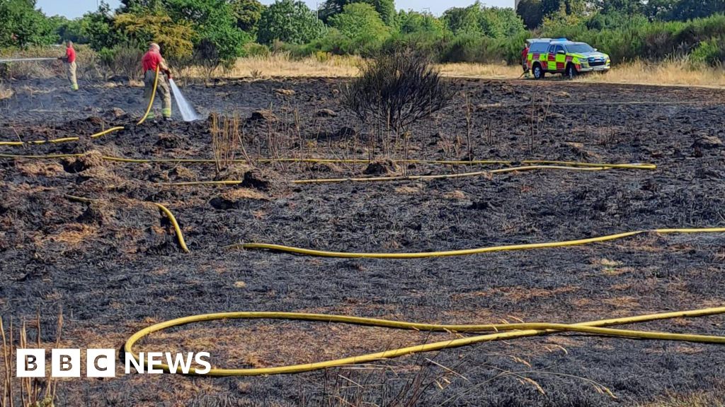 Three grass fires tackled in 24 hours in London heatwave