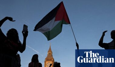 Peter Hain says UK government ‘digging itself into hole’ over Palestine Action | Peter Hain
