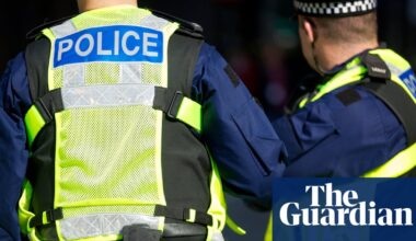 Plans for UK police to reveal suspects’ ethnicity a recipe for ‘dog-whistle politics’, say campaigners | Police
