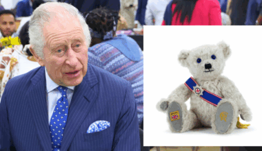 Royal Family residence launches King Charles teddy bears for £269
