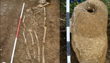 Archaeologists perplexed to find west African ancestry in early medieval England