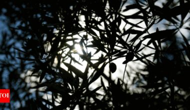 150 species saved in England, but 'time running out' to halt decline