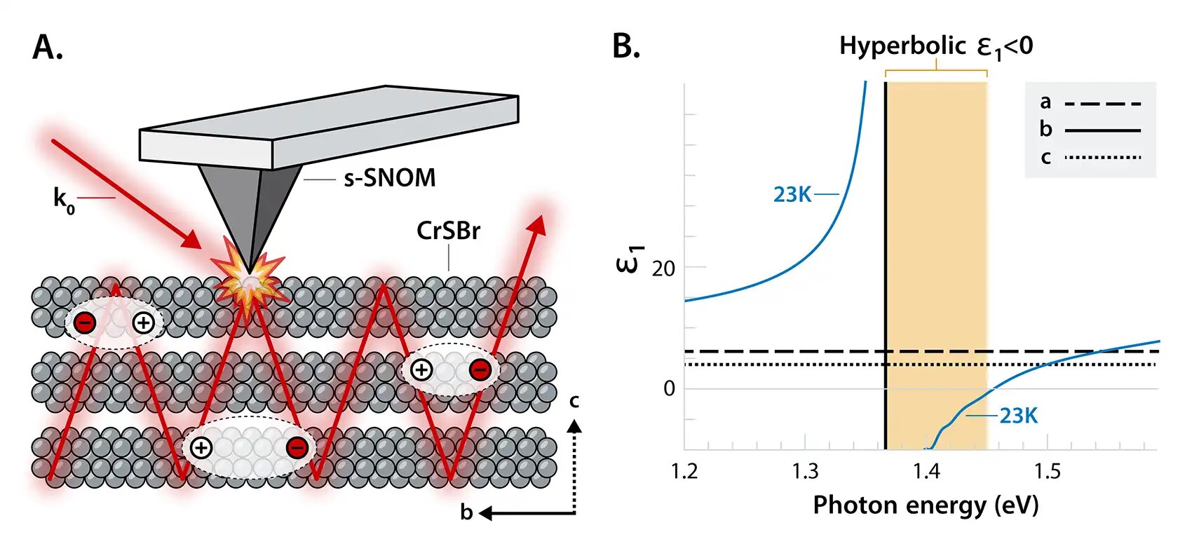 Researchers observe evidence of hyperbolic exciton polaritons