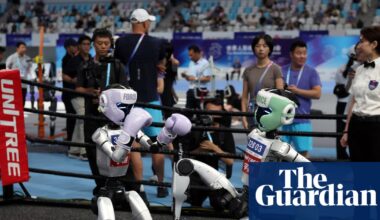 Box, run, crash: China’s humanoid robot games show advances and limitations | China