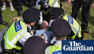 Palestine Action prosecutions should be suspended, say UK rights groups | Protest