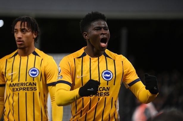 Carlos Baleba celebrates scoring during the Premier League match between Fulham FC and Brighton & Hove Albion FC at Craven Cottage. 