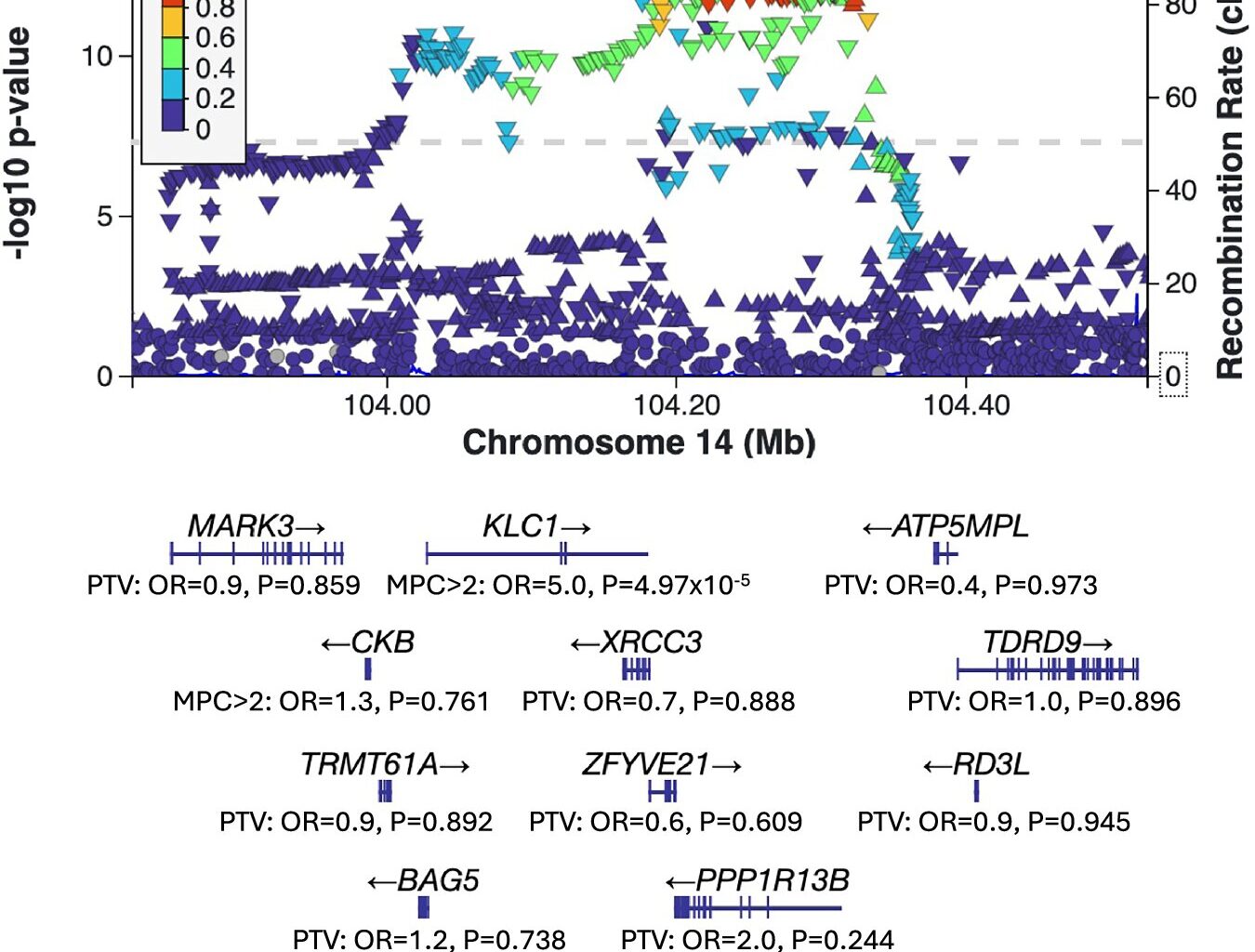 Scientists discover eight new schizophrenia genes
