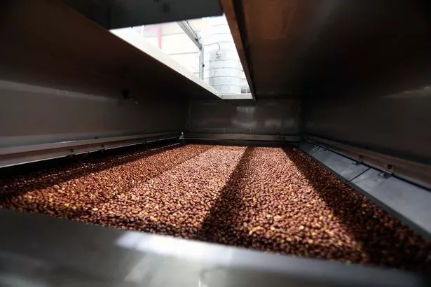 The image shows lots of nuts in the roaster