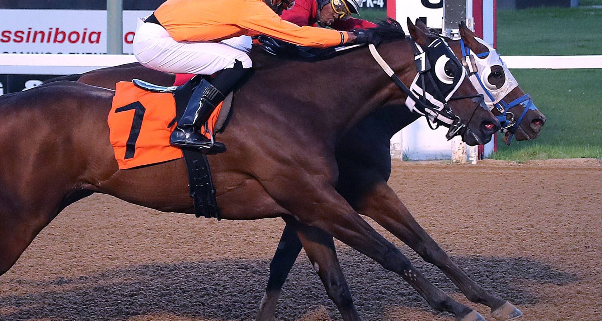 Patterson turning heads at the Downs – Winnipeg Free Press