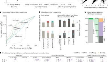 Complex deep learning models are no better at understanding genetic perturbation than simple baseline ones, study finds