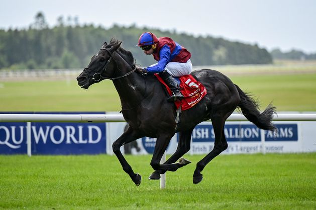 Michael Verney: Los Angeles to get back on track for Aidan O’Brien in the Royal Whip Stakes