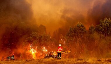 Spain, Portugal grapple with widespread fires; death toll climbs to 6