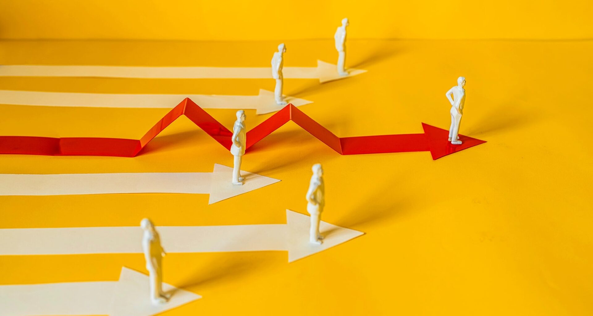 How I Built a Business That Thrives Through Constant Disruption — and How You Can Too