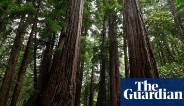 Trump’s move to sanitize US history gets little support with national park visitors | US news