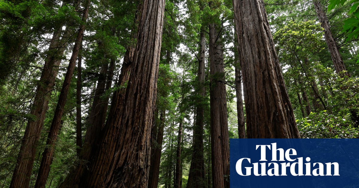 Trump’s move to sanitize US history gets little support with national park visitors | US news