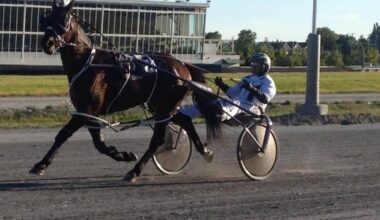 Horse racing community blindsided by Surrey, B.C., racetrack closure