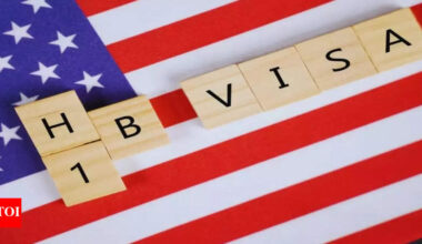 'If you are trying to brain-drain Bangalore...': US economist's H-1B explanation goes viral