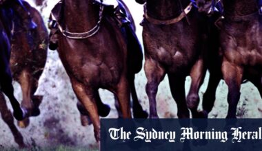 Race-by-race preview and tips for Wednesday meeting at Warwick Farm
