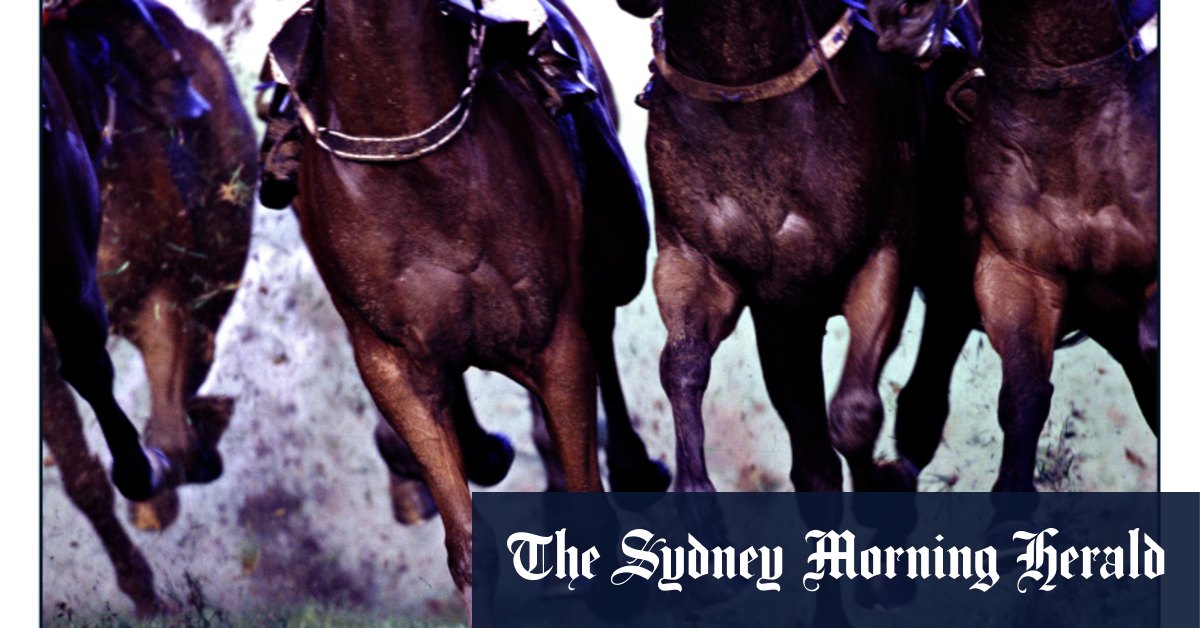 Race-by-race preview and tips for Wednesday meeting at Warwick Farm