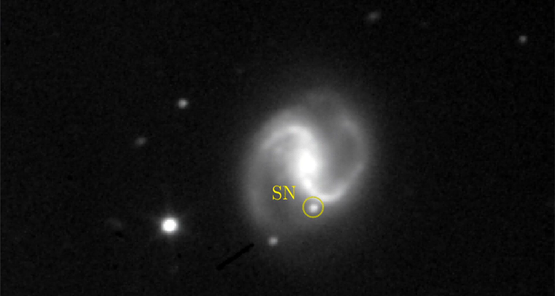 Rapid-response protocol promises to reveal supernovae only hours after they explode