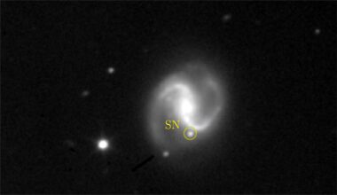 Rapid-response protocol promises to reveal supernovae only hours after they explode