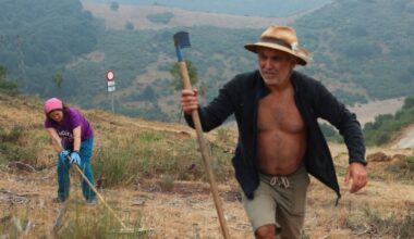 Wildfires in Spain stabilising as cooler weather brings hope
