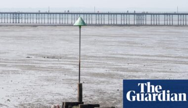 From clean air to pesticides: how UK has lagged behind EU on the environment | Brexit