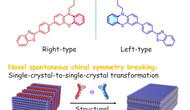 Scientists discover new phenomenon in chiral symmetry breaking
