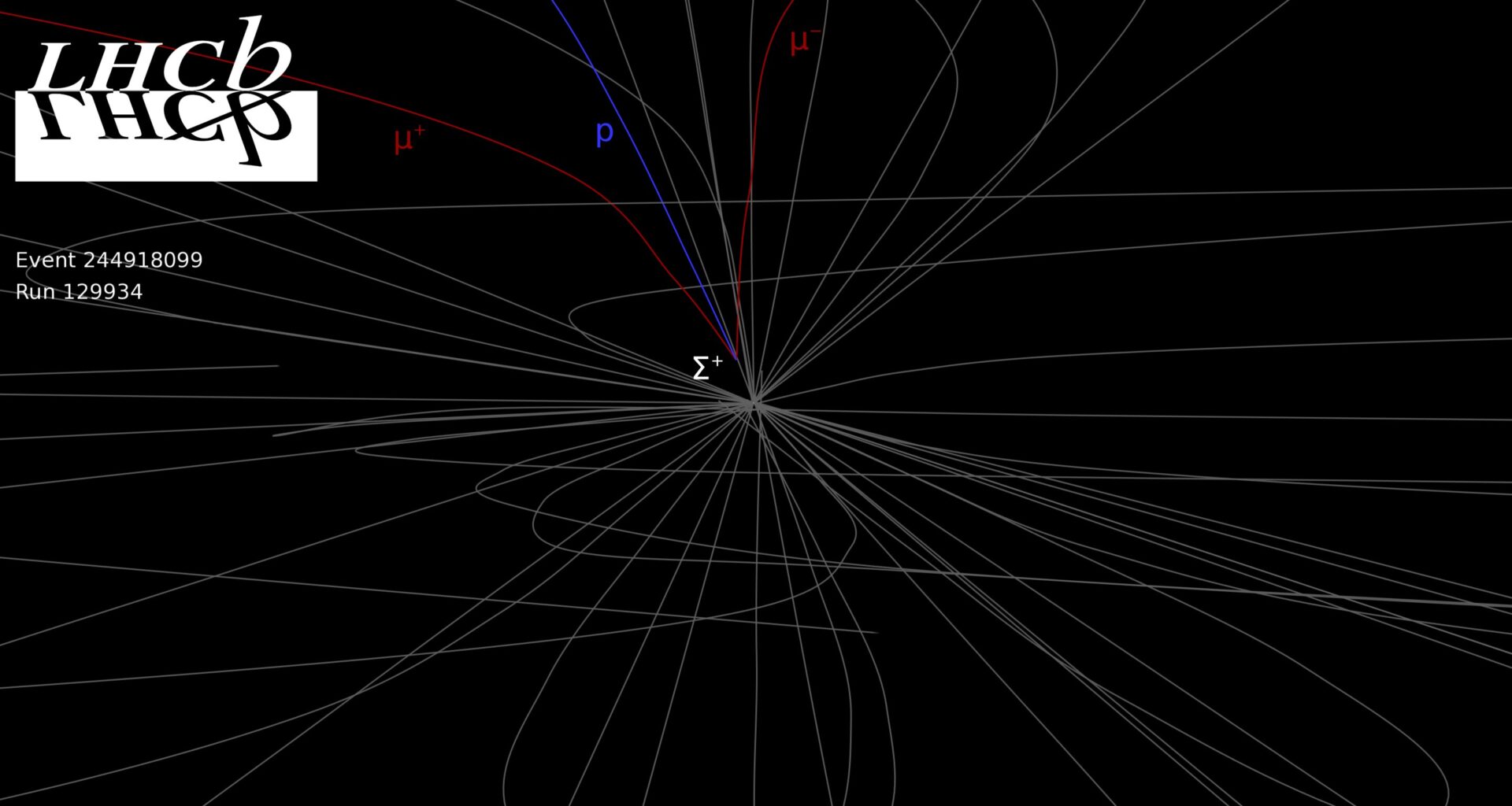 LHCb collaboration observes ultra-rare baryon decay