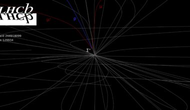 LHCb collaboration observes ultra-rare baryon decay