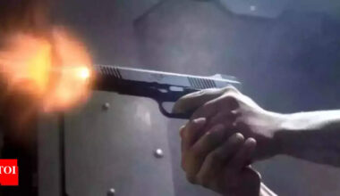 Kerala-origin girl shot in London: 33-year-old convicted in gang attack; child left with bullet in brain | Kochi News